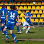 Olimpia Elbląg - Dolcan Ząbki 4:1