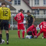 Olimpia Elbląg - Wisła Puławy 2:1