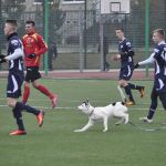 Stomil Olsztyn - Legionovia Legionowo 2:3