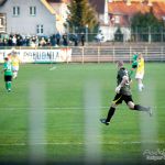 Olimpia Elbląg - Stal Stalowa Wola 1:0