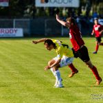 Olimpia Elbląg - Pogoń Siedlce 2:2