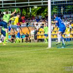 Olimpia Elbląg - Stal Mielec 2:2