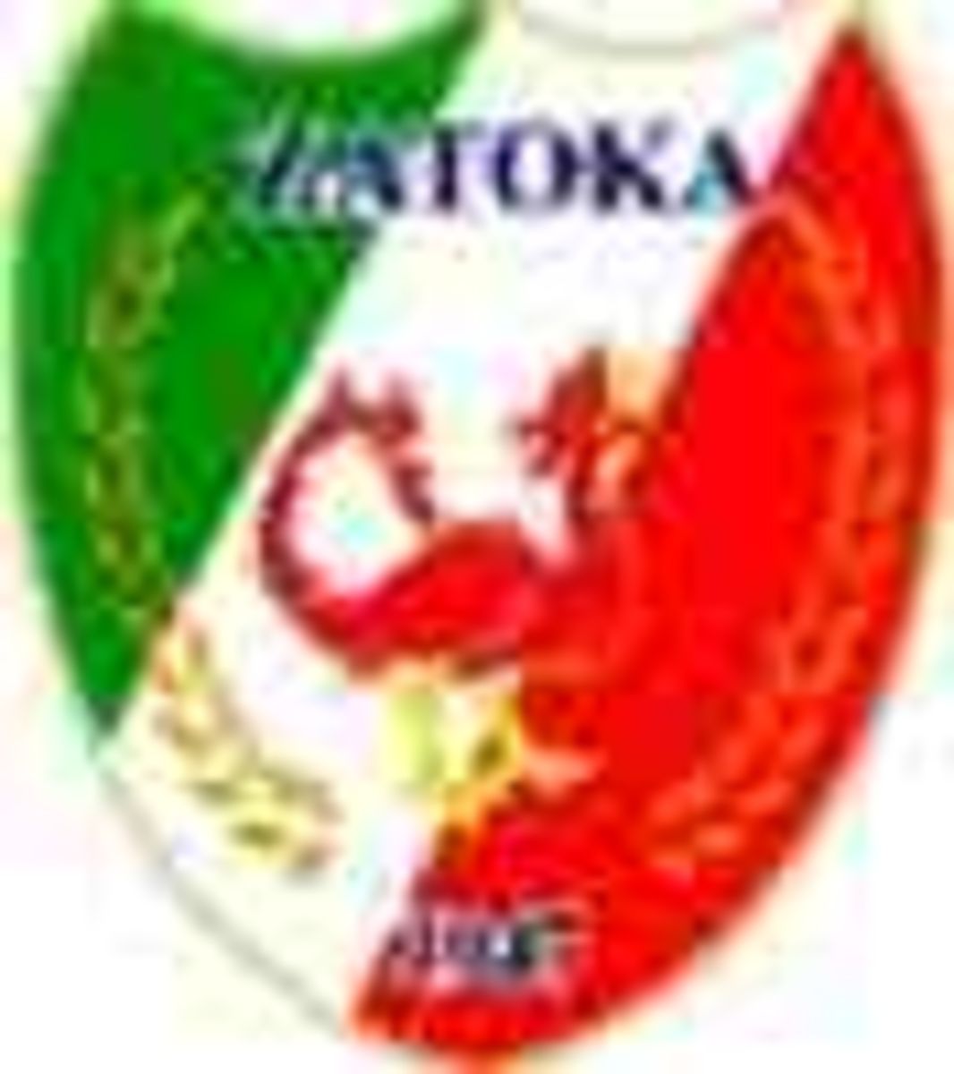 Sparing: Zatoka Braniewo - Cartusia Kartuzy 2:0 (1:0)