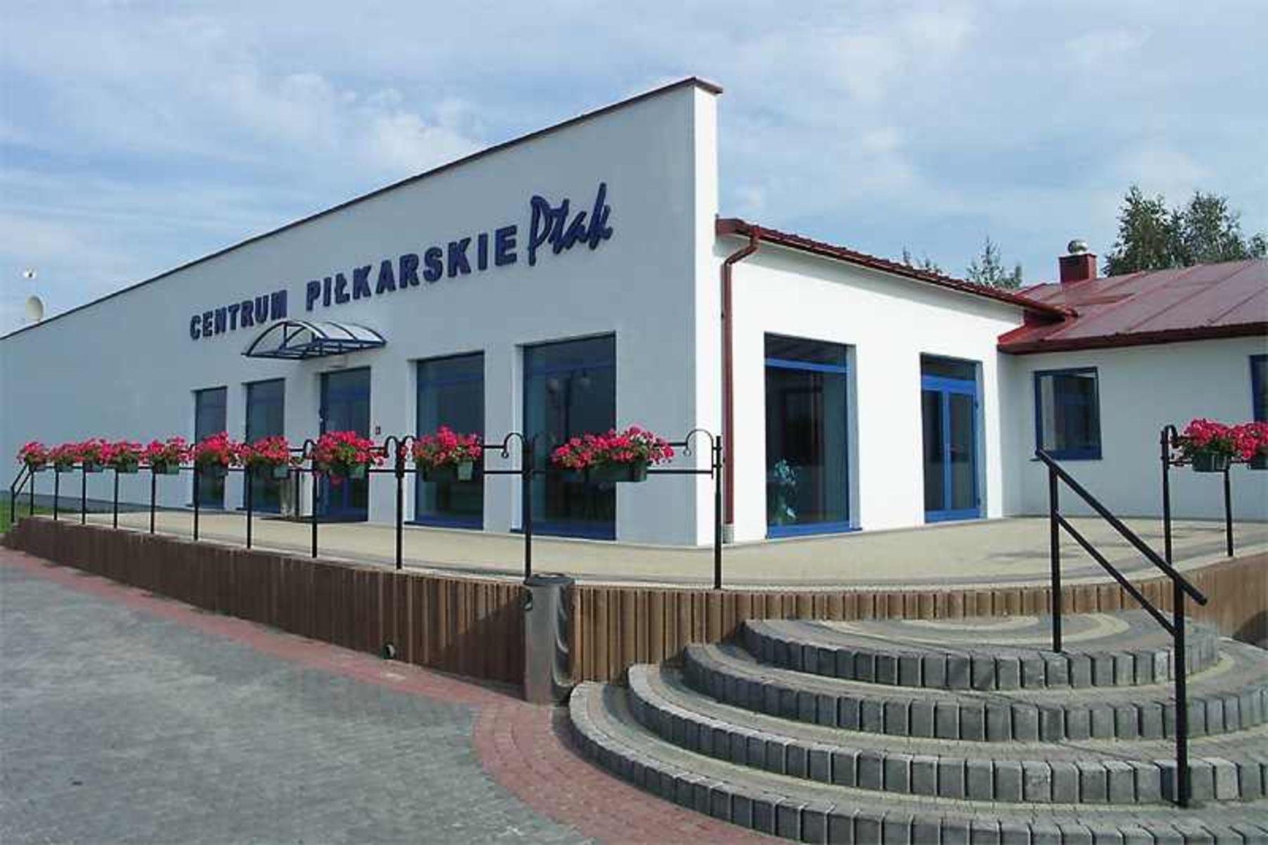 Fot. pilka.ptak.com.pl