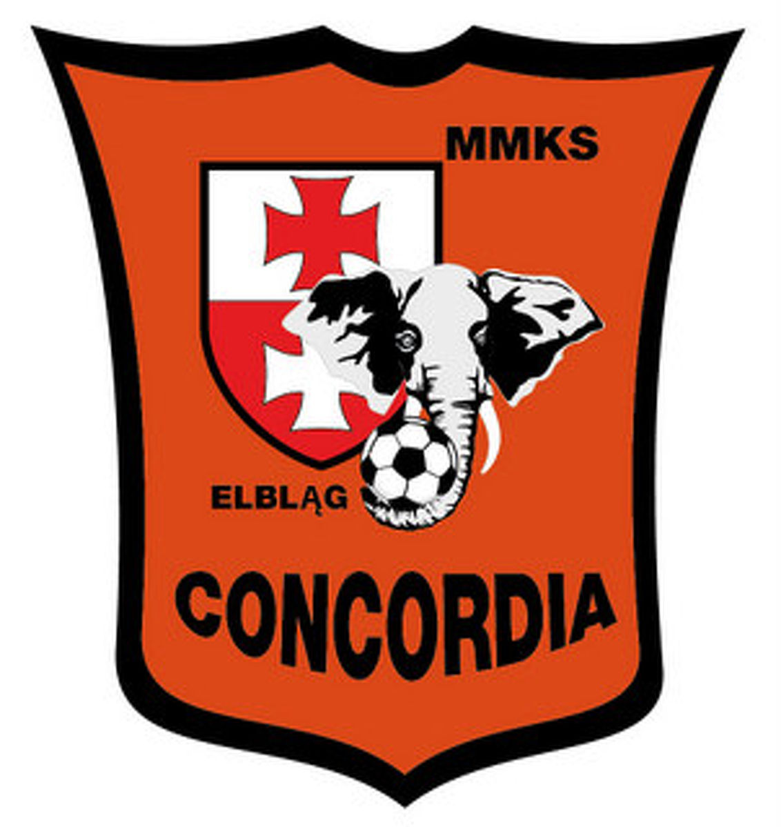 Sparing: Concordia Elbląg - Gryf 2009 Tczew 1:1